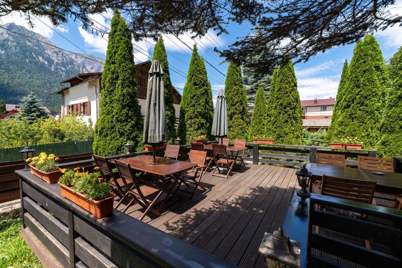 Casa Freya Hotel Buşteni Eksteriør billede